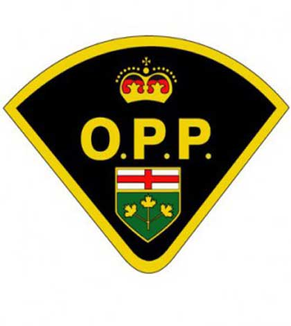Perth County OPP is seeking the public’s help regarding an attempted abduction on Perth Road 131, just south of Line 86 in Perth East yesterday
