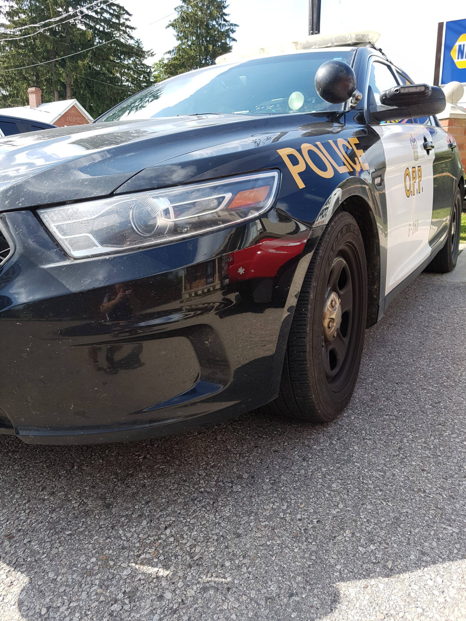 One person died Saturday evening in a single-vehicle collision near Mount Forest